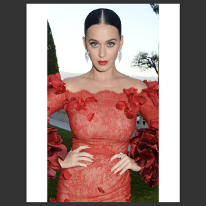 Katie Perry Luxury Box